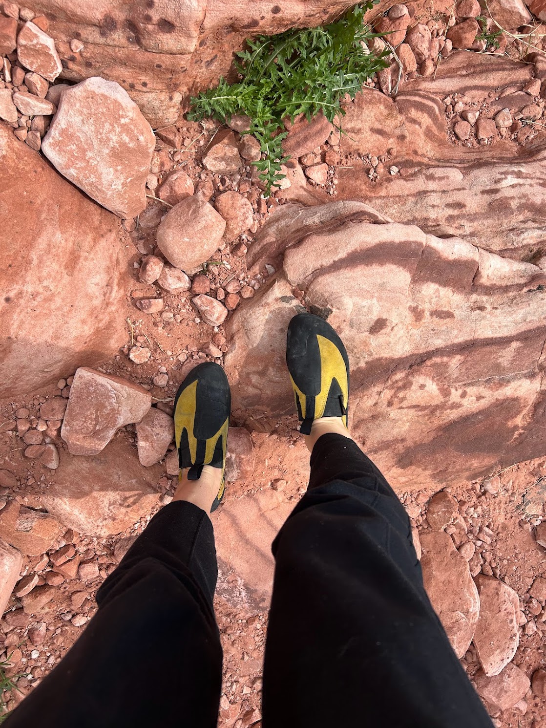 Rock climbing shoes