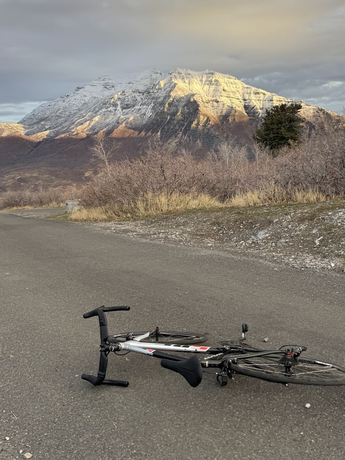 Carbon-fiber road bike. Got into road biking this year and biked hundreds of miles with friends.