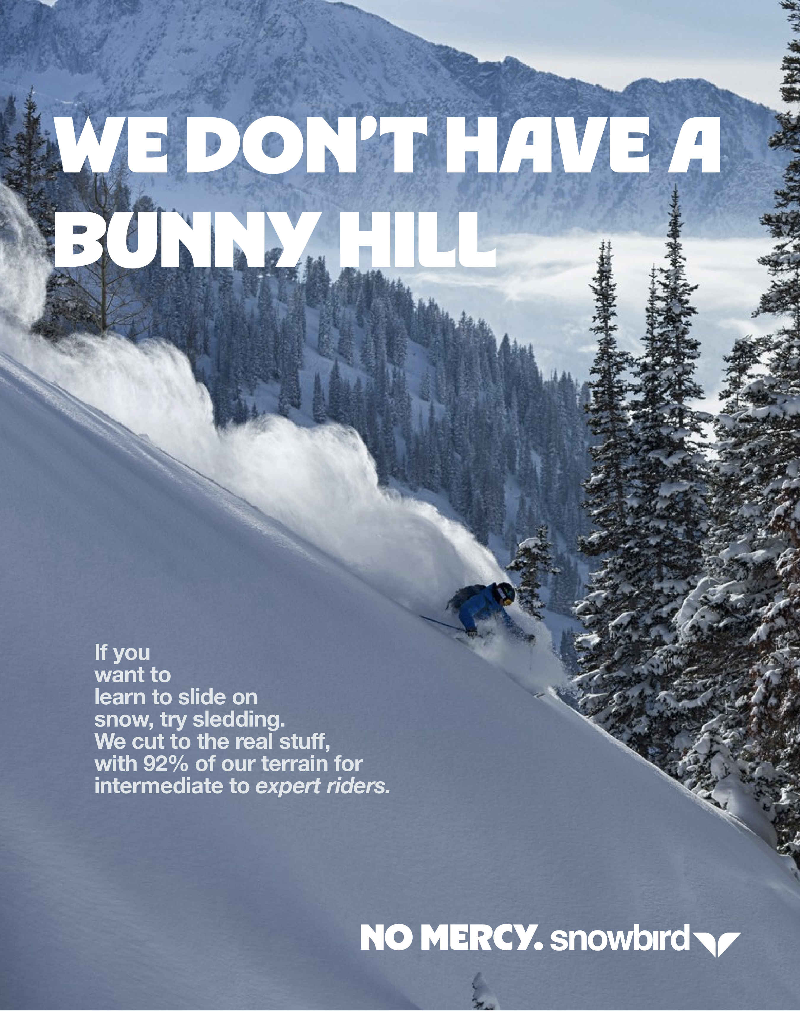 Snowbird print ad 1