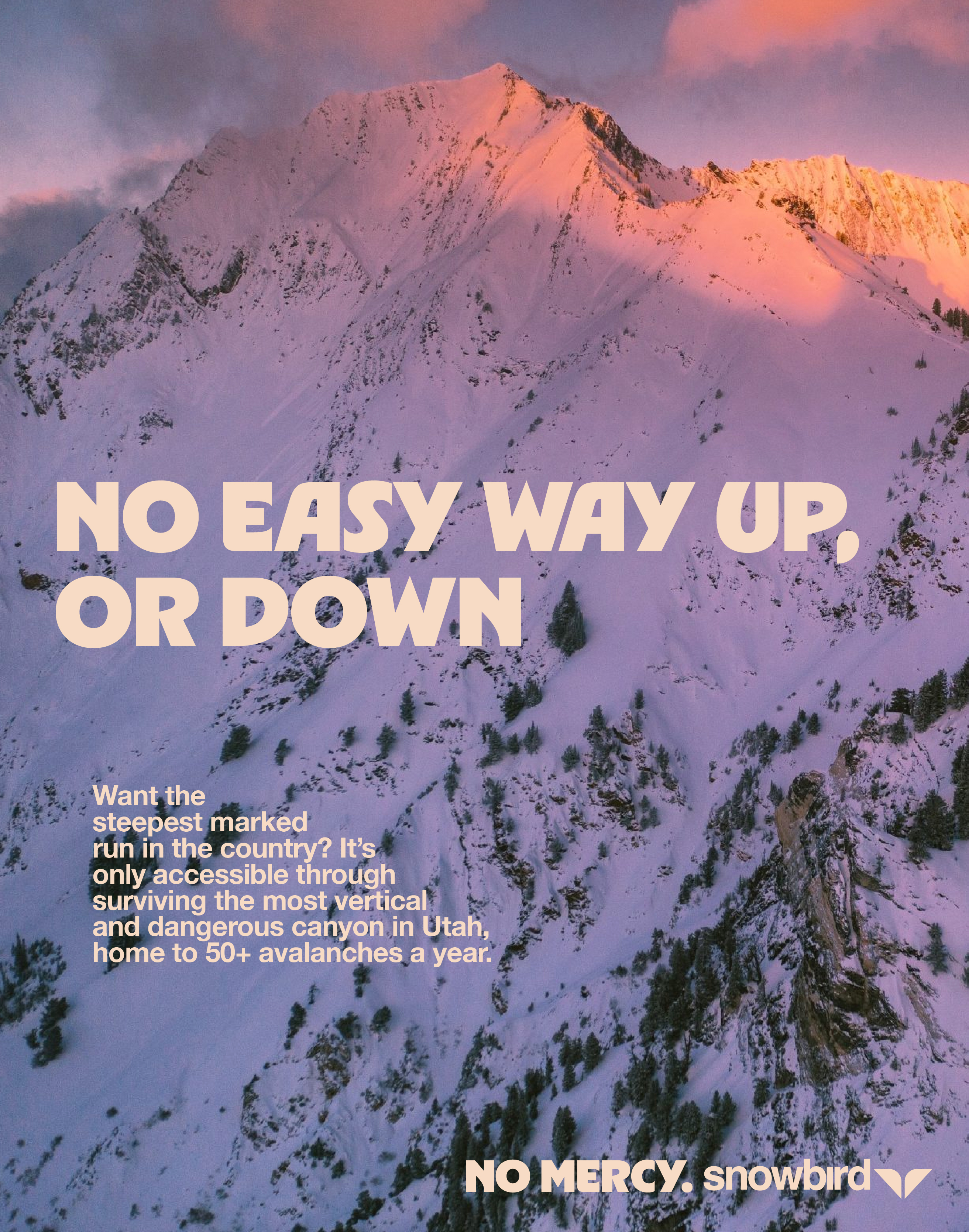 Snowbird print ad 3